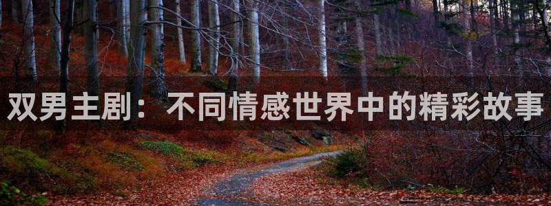omofun纯净版：双男主剧：不同情感世界中的精彩故事