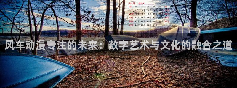 #omofun：风车动漫专注的未来：数字艺术与文化的融合之道