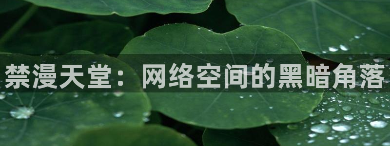 omofun在线观看免费动漫：禁漫天堂：网络空间的黑暗角落