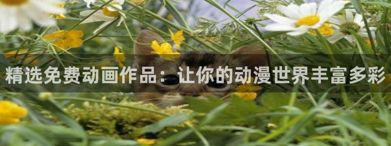 omofun网址：精选免费动画作品：让你的动漫世界丰富多彩