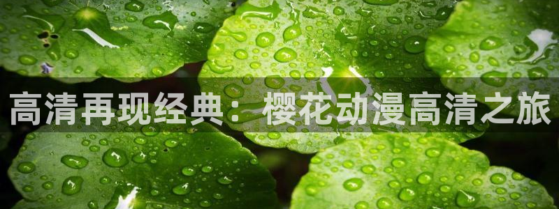 omofun无广告
