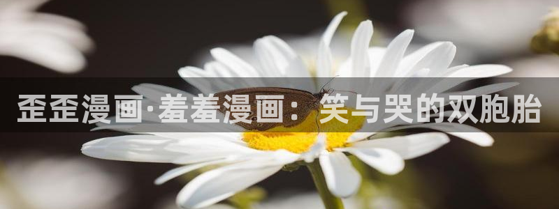 omofun电脑端：歪歪漫画·羞羞漫画：笑与哭的双胞胎