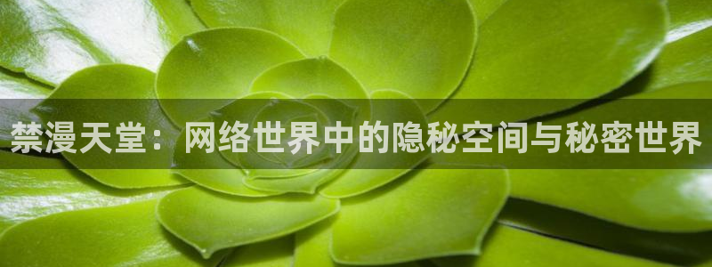 omofun动漫视频网：禁漫天堂：网络世界中的隐秘空间与秘密世界