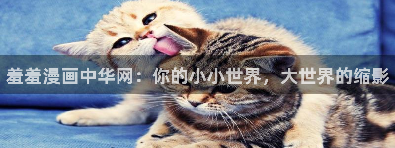 omofun老版本：羞羞漫画中华网：你的小小世界，大世界的缩影