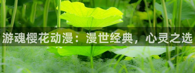 omofun动漫下载最新：游魂樱花动漫：漫世经典，心灵之选