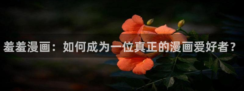 omofun下载官网：羞羞漫画：如何成为一位真正的漫画爱好者？