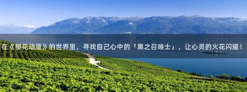 omofun动漫动画：在《樱花动漫》的世界里，寻找自己心中的「黑之召唤士」，让心灵的火花闪耀！