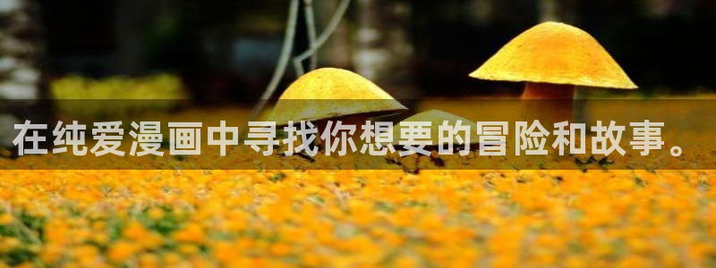 omofun 翻译：在纯爱漫画中寻找你想要的冒险和故事。
