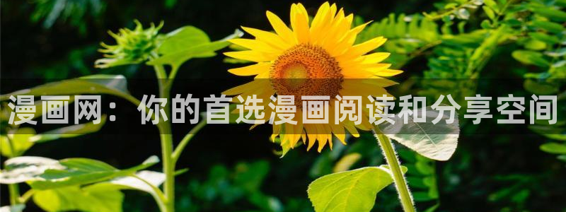 omofun吧：漫画网：你的首选漫画阅读和分享空间